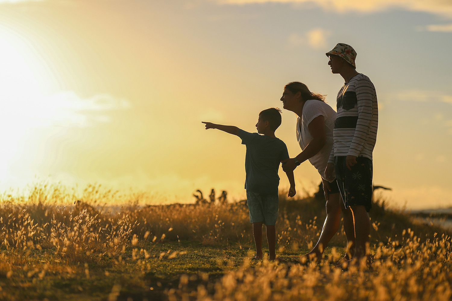 Dementia care for families